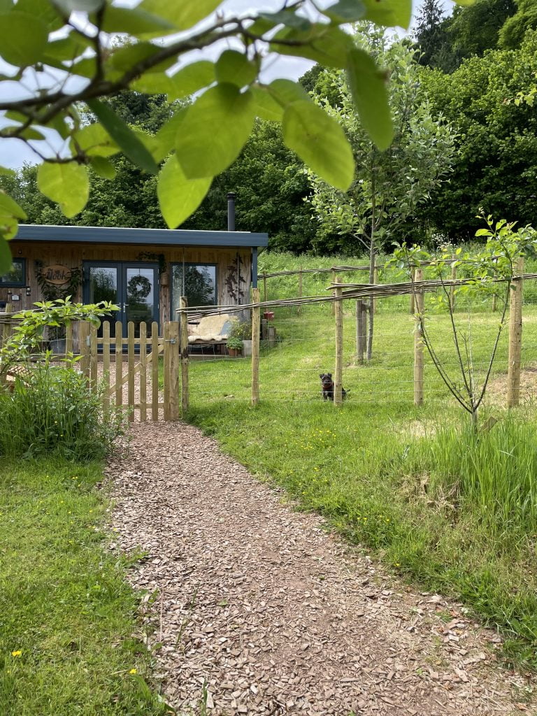 Dog Friendly cabins