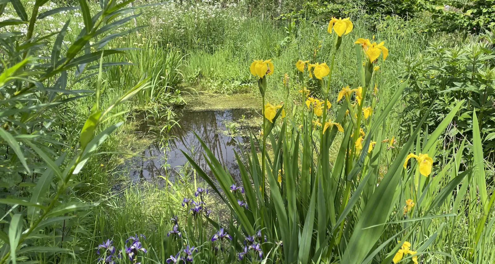 The Roost Luxury Cabins | Two Eco Cabins in the Forest of Dean