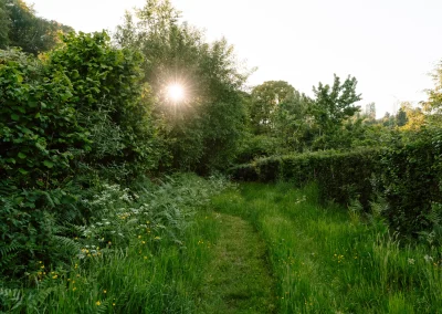 green lane