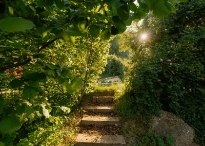 meadow garden steps