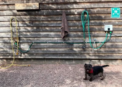 warm dog wash